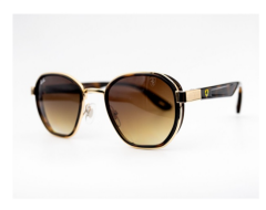 Ray-Ban 0RB 3674-M F029  51 Unisex Güneş Gözlüğü