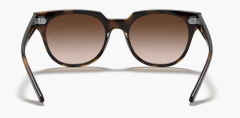 Ray-Ban Rb4368n 710/13  Unisex Güneş Gözlüğü