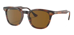 Ray-Ban Rb 2298 954/33 52 Unisex Güneş Gözlüğü