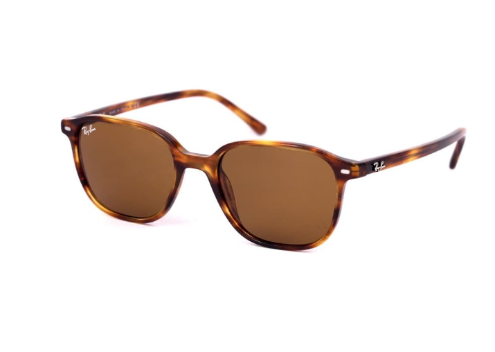 RAY-BAN Leonard 2193 954/33 51 Kahverengi Unisex Güneş Gözlüğü